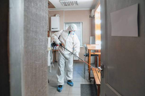 Best Mold Damage Restoration  in Potterville, MI