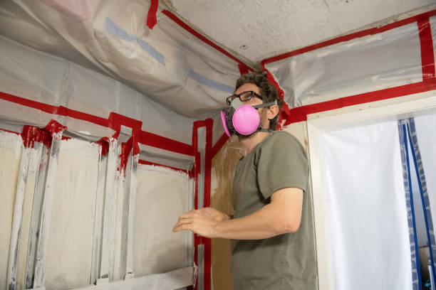Best Environmental Consulting for Mold Prevention  in Potterville, MI