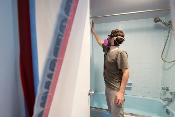 Best Indoor Air Quality Assessment  in Potterville, MI