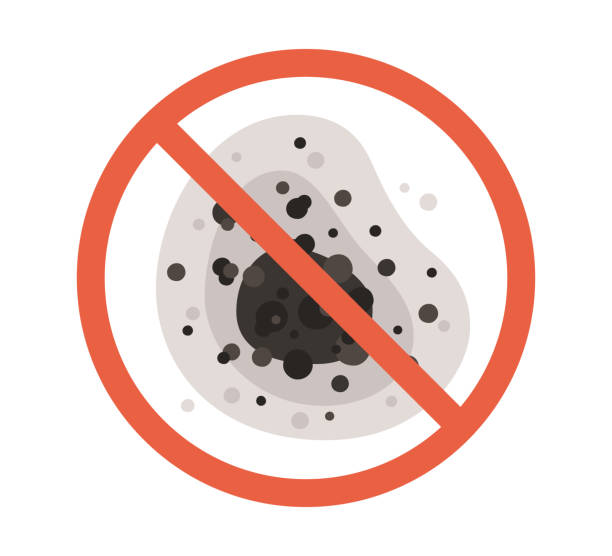 Reliable Potterville, MI Mold Removal Solutions
